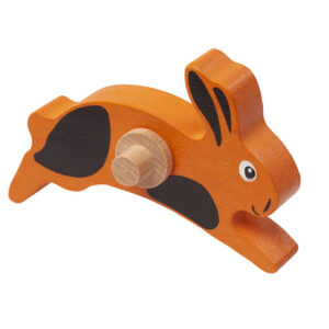 Hase